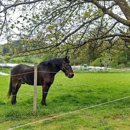 Peitz Apartman Eslohe