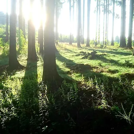 Lägenhet Peitz Eslohe