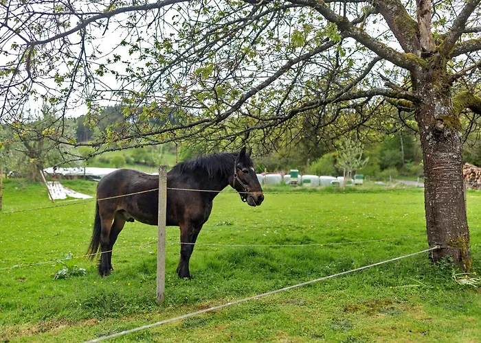 Peitz Апартаменты Эслоэ